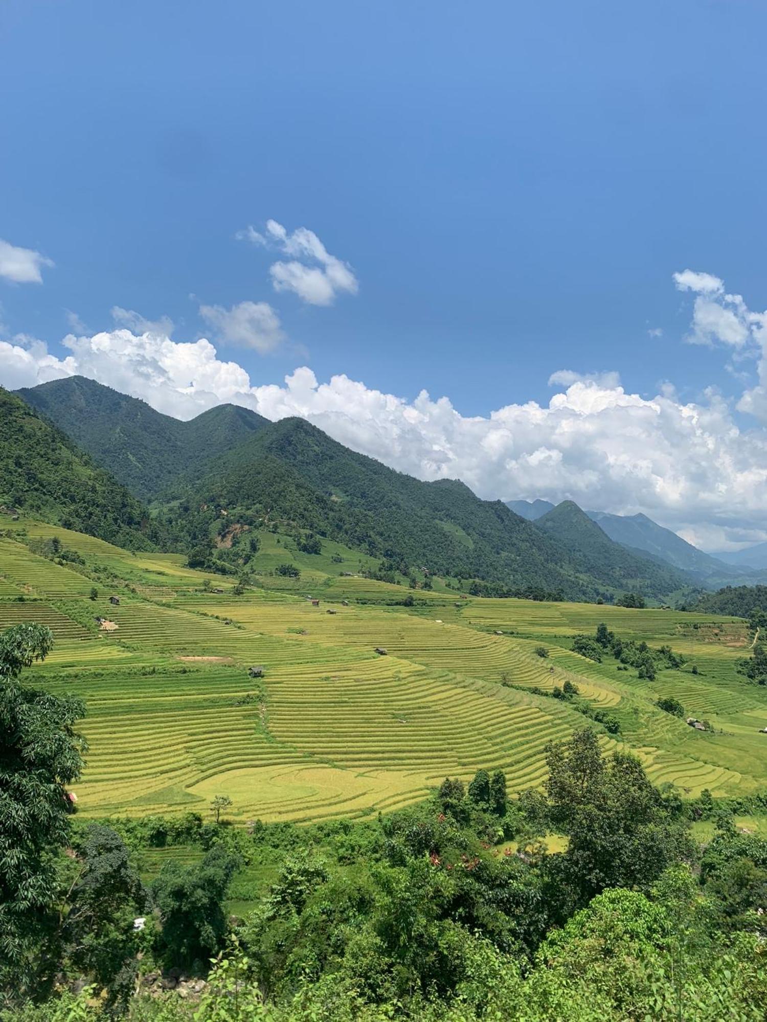 The Zen House Sapa Daire Dış mekan fotoğraf