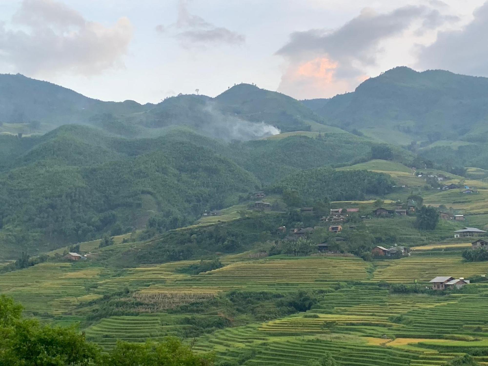 The Zen House Sapa Daire Dış mekan fotoğraf